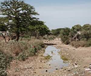 Eau et climat : L’Égypte pourune coopération internationale