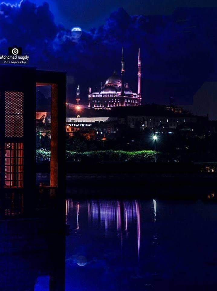 Sans-titre 7 - Le Progrès Egyptien