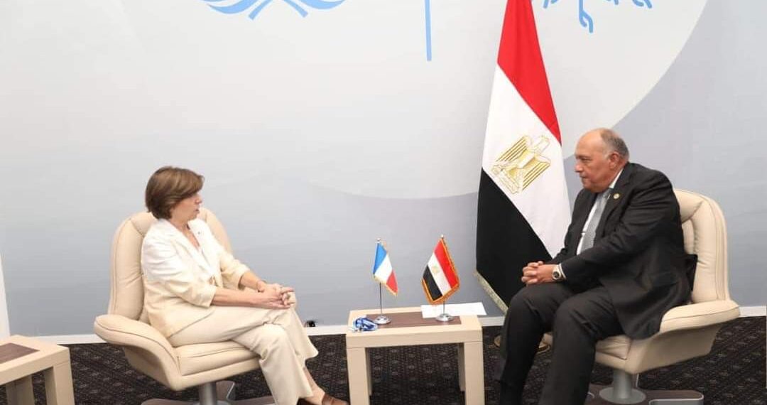 Choucri salue le partenariat stratégique entre l'Egypte et la France 2 - Le Progrès Egyptien Choucri salue le partenariat stratégique entre l'Egypte et la France 1 - Le Progrès Egyptien