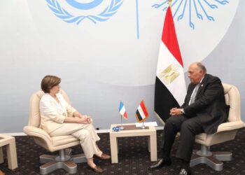 Choucri salue le partenariat stratégique entre l’Egypte et la France