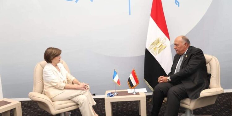 Choucri salue le partenariat stratégique entre l'Egypte et la France 2 - Le Progrès Egyptien Choucri salue le partenariat stratégique entre l'Egypte et la France 1 - Le Progrès Egyptien