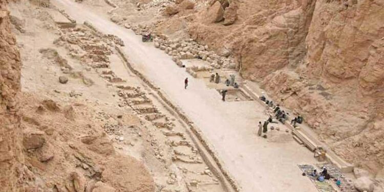 A la découverte des Singes dans la Vallée !  1 - Le Progrès Egyptien