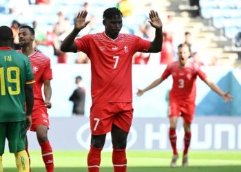Les Suisses domptent les Lions indomptables