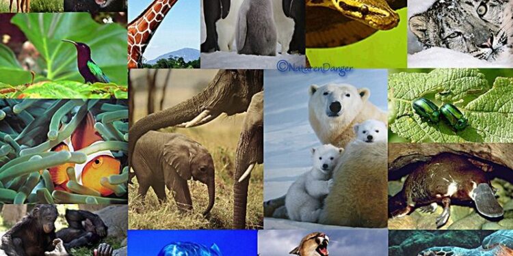 Biodiversité : Déclin de 69% des vertébrés 1 - Le Progrès Egyptien