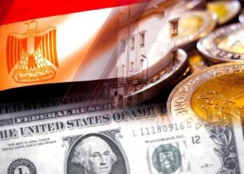 Livre égyptienne : S’affranchir de la domination du dollar