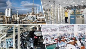 Industrie : La “licence dorée”, coup de fouet à la production