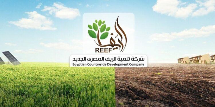 Développement des zones rurales 1 - Le Progrès Egyptien