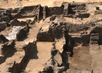 Découverte des tombes et des momies à Ménoufia 