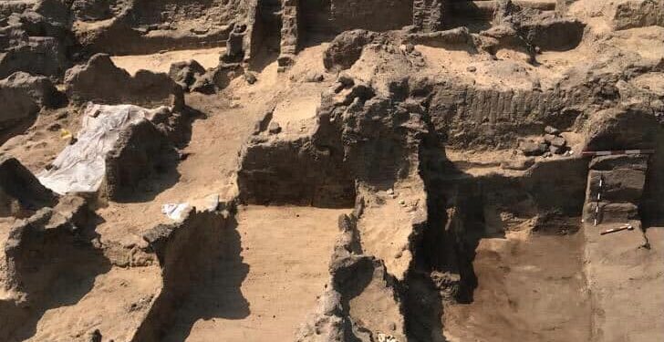 Découverte des tombes et des momies à Ménoufia  2 - Le Progrès Egyptien Découverte des tombes et des momies à Ménoufia  1 - Le Progrès Egyptien