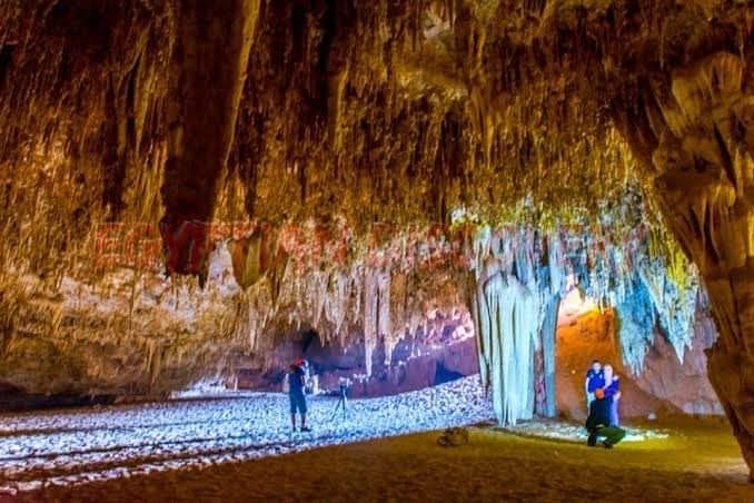 Sans-titre 5 - Le Progrès Egyptien