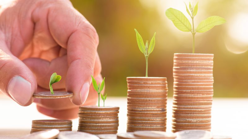 COP27 à Charm El-Cheikh 5 - Le Progrès Egyptien