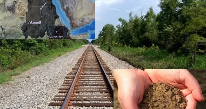 Le projet de train de limon… un boom économique 1 - Le Progrès Egyptien