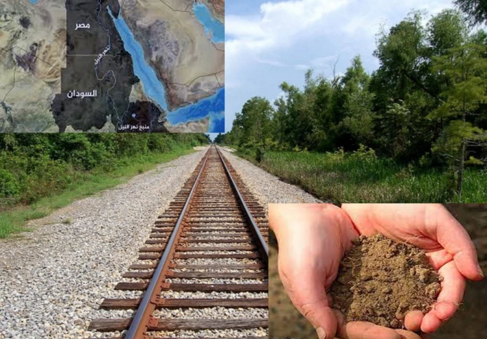 Le projet de train de limon… un boom économique 4 - Le Progrès Egyptien Le projet de train de limon… un boom économique 3 - Le Progrès Egyptien