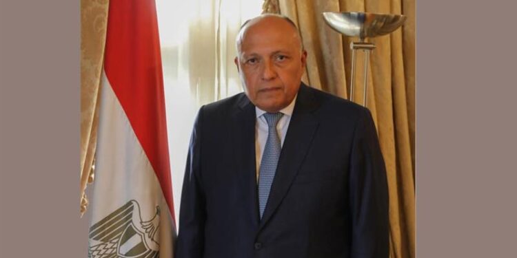 Choucri en Italie pour participer aux Dialogues Méditerranéens - Rome Med 1 - Le Progrès Egyptien