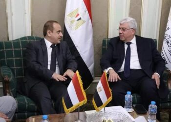 Enseignement supérieur : Booster la coopération Egypte-Yémen
