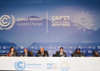 Choucri souligne l’importance de la coopération entre toutes les parties lors de la COP27