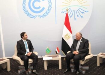 Choucri : L’Egypte et le Pakistan sont liés par des relations historiques