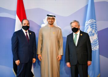 Le Président émirati affirme la nécessité de mettre fin à la guerre russo-ukrainienne