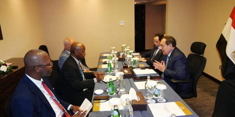 <strong>COP – 27 : L'Egypte a placé le droit de l'Afrique dans l'exploitation de ses ressources en tête des priorités</strong> 1 - Le Progrès Egyptien