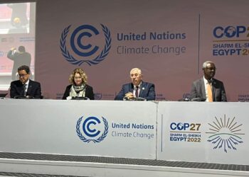 COP-27 : Al-Qosseir souligne l’importance de la complémentarité entre les pays africains