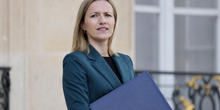 <strong>COP –2 7 : La Secrétaire d'Etat française chargée de l'Ecologie en Egypte</strong> 1 - Le Progrès Egyptien