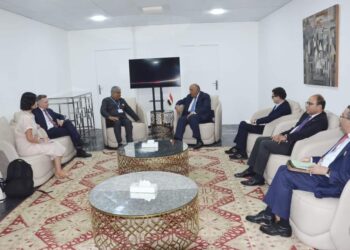 COP 27: Choucri mutiplie ses rencontres avec les ministres en charge des négociations