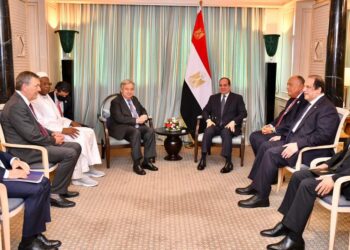 Al-Sissi : L’Egypte salue la coopération fructueuse avec l’ONU dans le domaine de l’action climatique