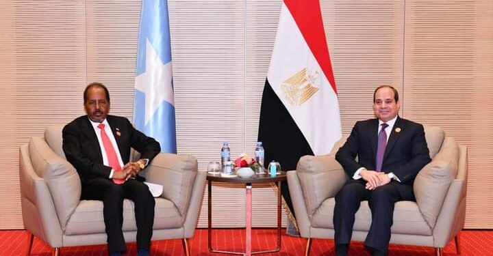 Le Président se réunit avec son homologue somalien 1 - Le Progrès Egyptien