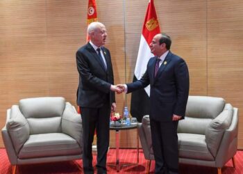 Alger: Al-Sissi  s’entretient avec Kaïs Saïed