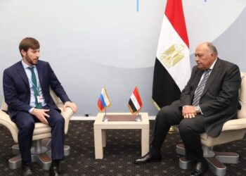 Cop27: Choucri s’entretient avec l’envoyé russe pour le climat