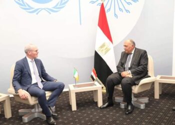 Charm Al-Cheikh : Choucri reçoit son homologue irlandais