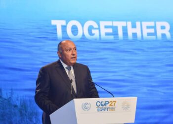 Choucri : L’Afrique est la plus touchée par les conséquences du changement climatique