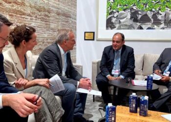 Attirer davantage d’investissements allemands