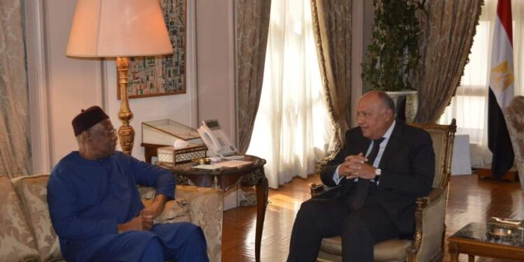 Choucri juge important d’achever la voie constitutionnelle en Libye 1 - Le Progrès Egyptien