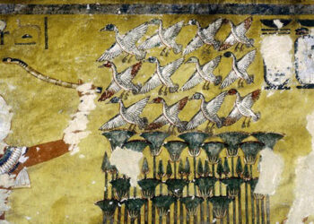 La chambre funéraire d’Aÿ 