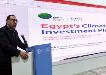 COP27 : Une plateforme pour la circulation de certificats carbone