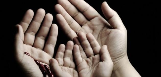 Un brin de spiritualité 2 - Le Progrès Egyptien Un brin de spiritualité 1 - Le Progrès Egyptien