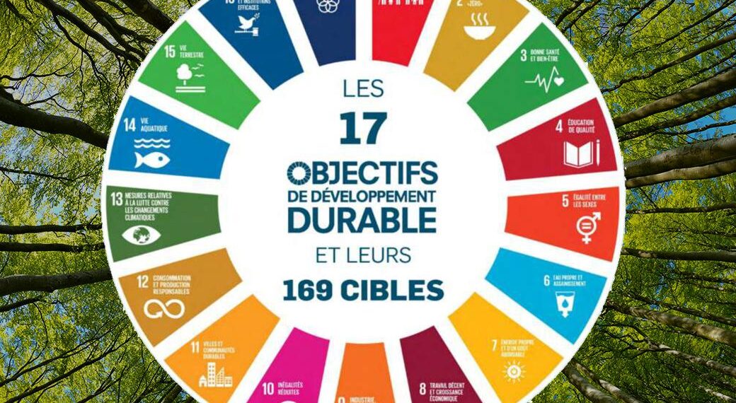 Pas de géant vers les ODD 1 - Le Progrès Egyptien