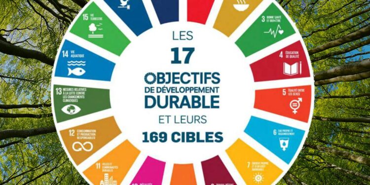 Pas de géant vers les ODD 1 - Le Progrès Egyptien
