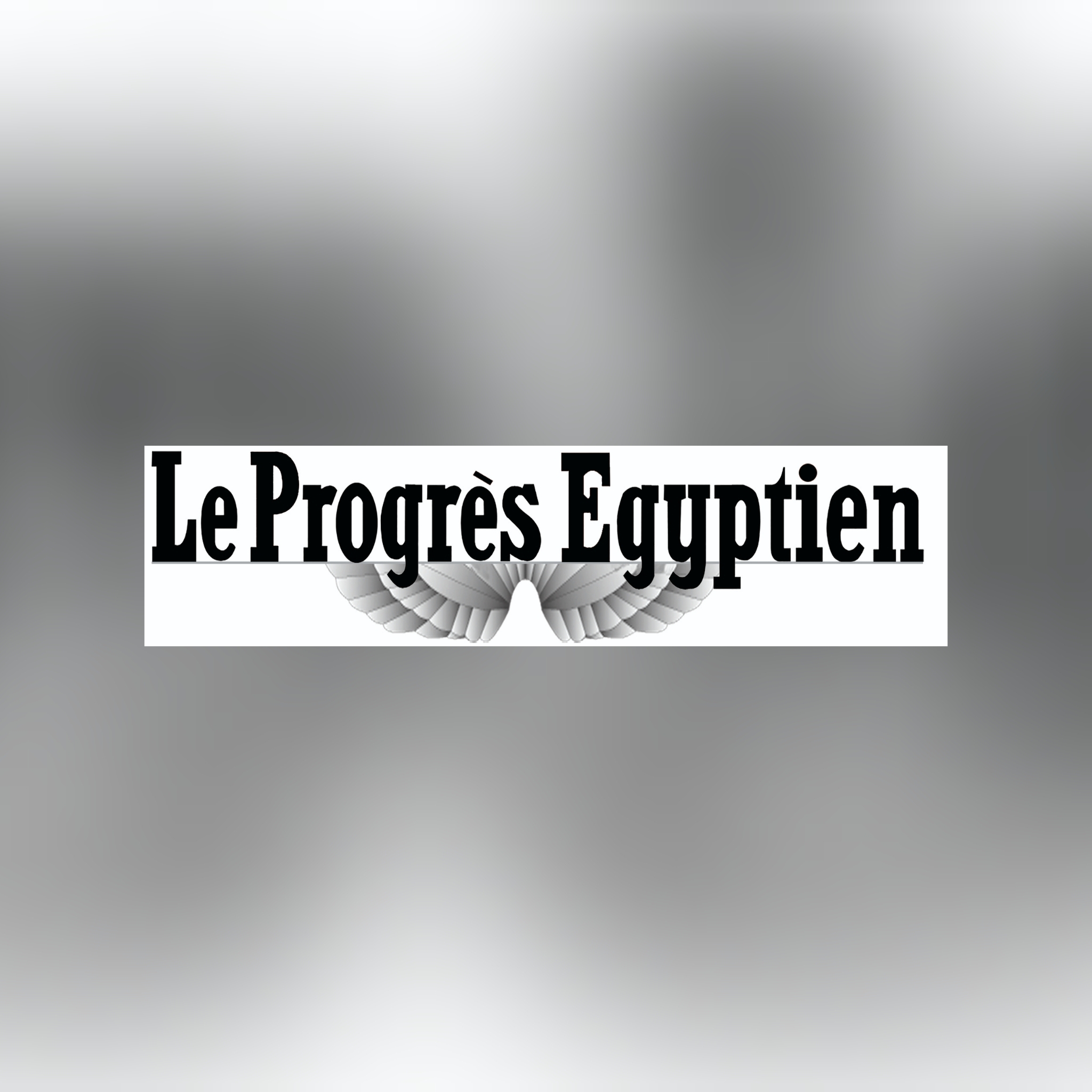 Favoriser davantage le climat d’investissement en Égypte