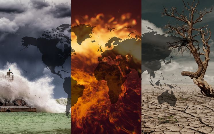 Les questions climatiques au cœur de l’intérêt 11 - Le Progrès Egyptien