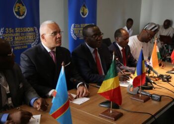 COP27: L'APPO adopte une vision unifiée sur l’exploitation des carburants 9 - Le Progrès Egyptien COP27: L’APPO adopte une vision unifiée sur l’exploitation des carburants