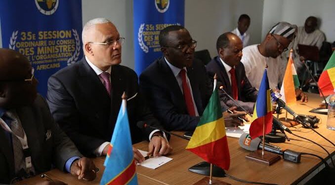 COP27: L'APPO adopte une vision unifiée sur l’exploitation des carburants 1 - Le Progrès Egyptien