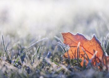 Faut-il s’attendre à un hiver très froid ?