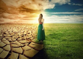 Femme, changement climatique et protection de la nature, un trio indispensable