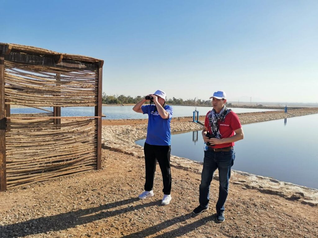 Egypte : Prix pour la protection des oiseaux planeurs migrateurs 3 - Le Progrès Egyptien