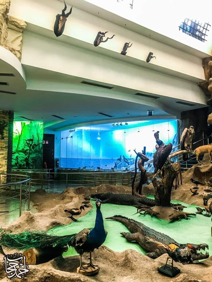 Sans-titre 9 - Le Progrès Egyptien