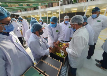 Une première : Le marché philippin ouvert aux exportations agricoles égyptiennes