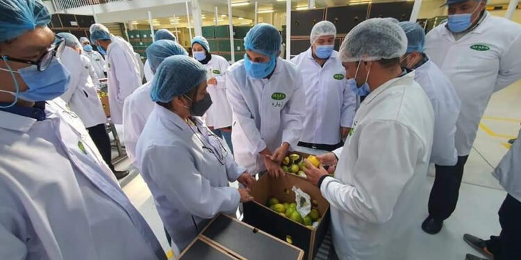 Une première : Le marché philippin ouvert aux exportations agricoles égyptiennes 2 - Le Progrès Egyptien Une première : Le marché philippin ouvert aux exportations agricoles égyptiennes 1 - Le Progrès Egyptien