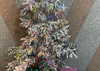 Un sapin de Noël respectueux de l’environnement